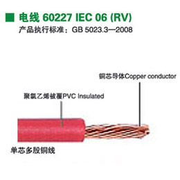 國(guó)標(biāo)兩芯方頭電源線